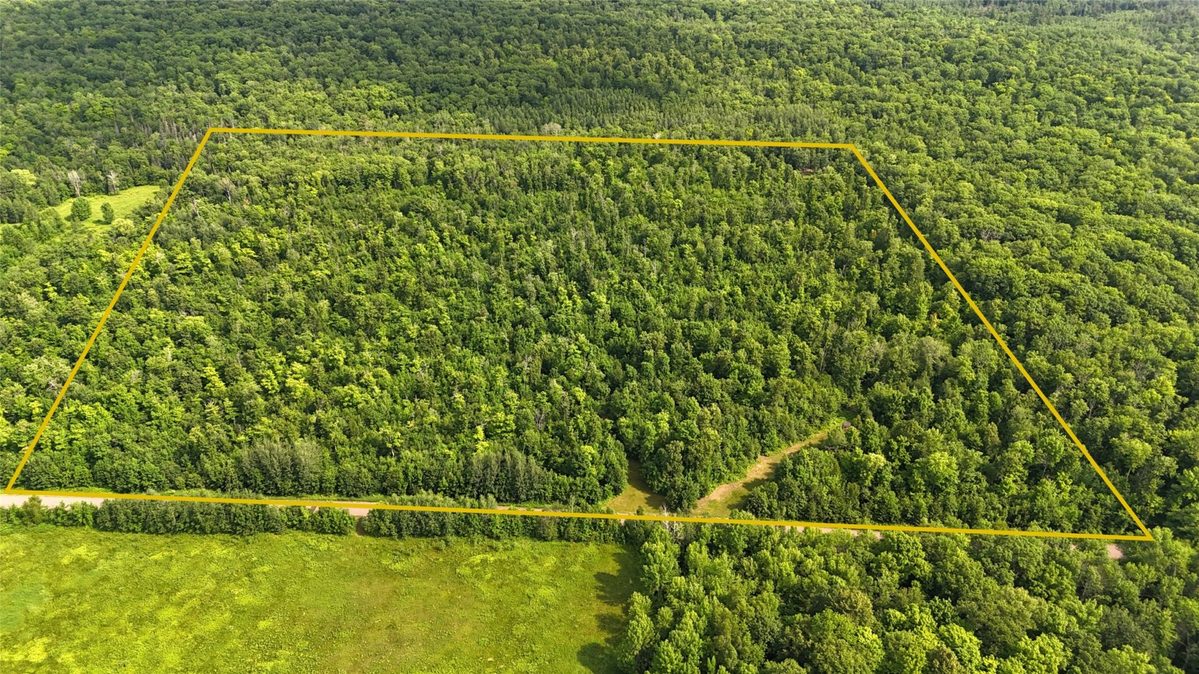 XXX Eckel Lane, Couderay WI 54835 - Land house for sale - MLS #1603143 - image41