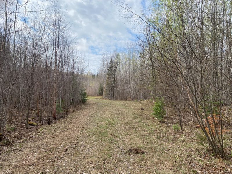 Near Wilson Lake Road