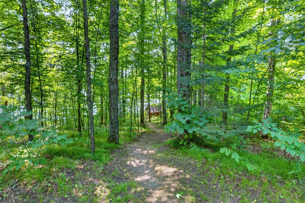 6925W Hemlock Haven Road, Winter WI 54896 - Land house for sale - MLS #1603697 - image34