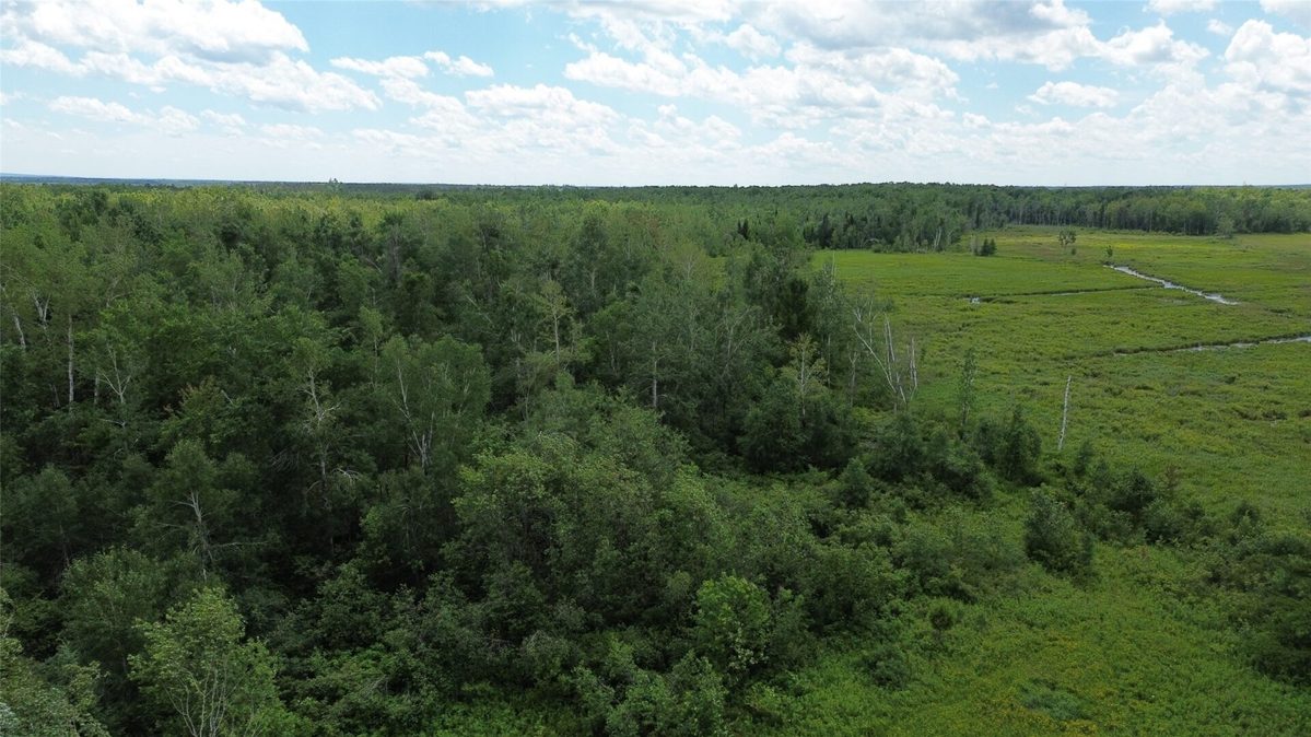 W11199 Edgewood Avenue, Bruce WI 54848 - Land house for sale - MLS #1605749 - image7