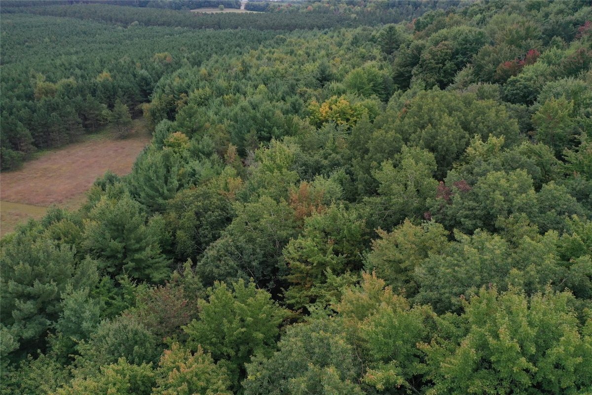 W02 State Highway 64, Colfax WI 54730 - Land house for sale - MLS #1604529 - image39