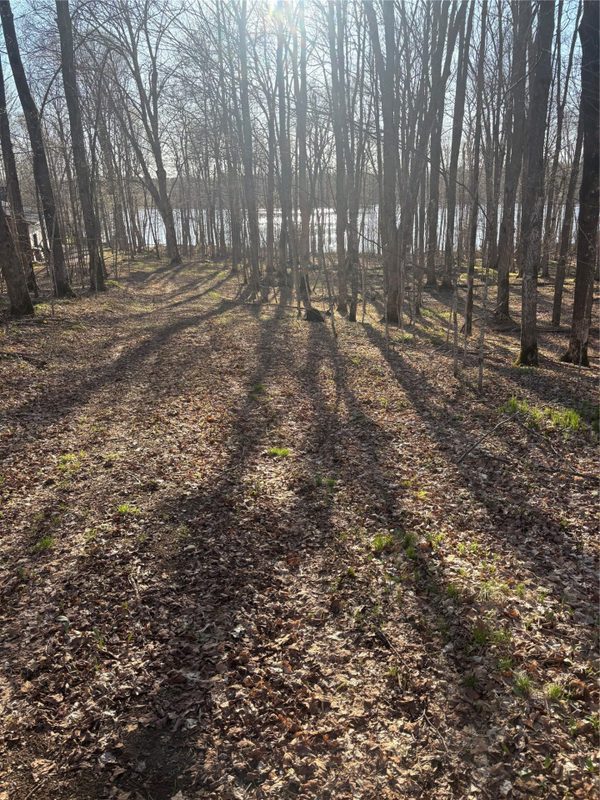 Land at Lot 11 Lake Winter Road, Winter, WI 54896 — photo 2