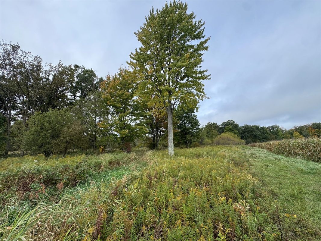 000 Miller Avenue, Owen WI 54460 - Land house for sale - MLS #1605509 - image19
