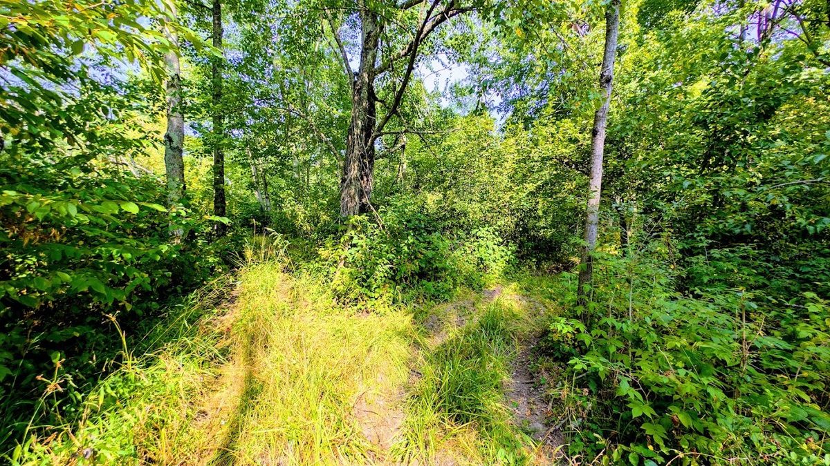 W8185 County Road J, Ladysmith WI 54848 - Land house for sale - MLS #1604406 - image30