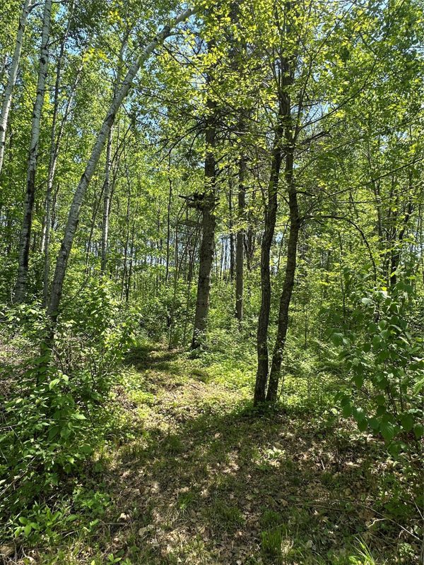 N7642 Crooked Road, Ladysmith WI 54848 - Residential house for sale - MLS #1601657 - image29