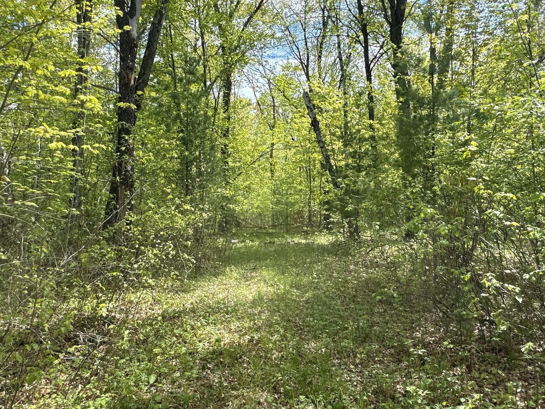 25275 Bruss Road, Webster WI 54893 - Land house for sale - MLS #1602158 - image13