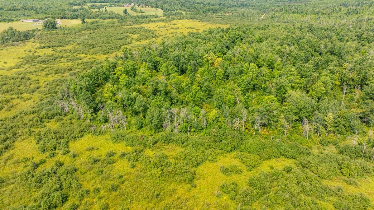0 28th Street, Chetek WI 54728 - Land house for sale - MLS #1604329 - image12