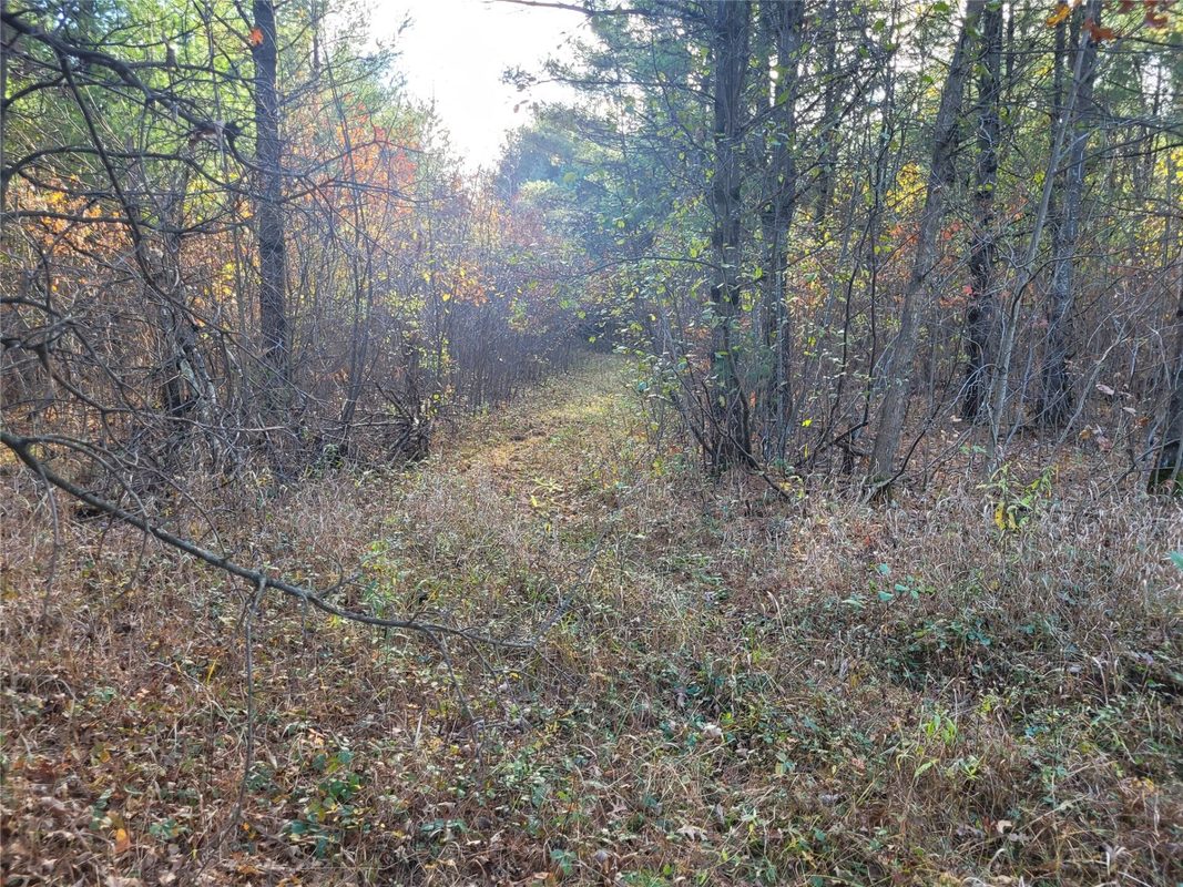 N10835 Kovar Road, Merrillan WI 54741 - Land house for sale - MLS #1606219 - image2