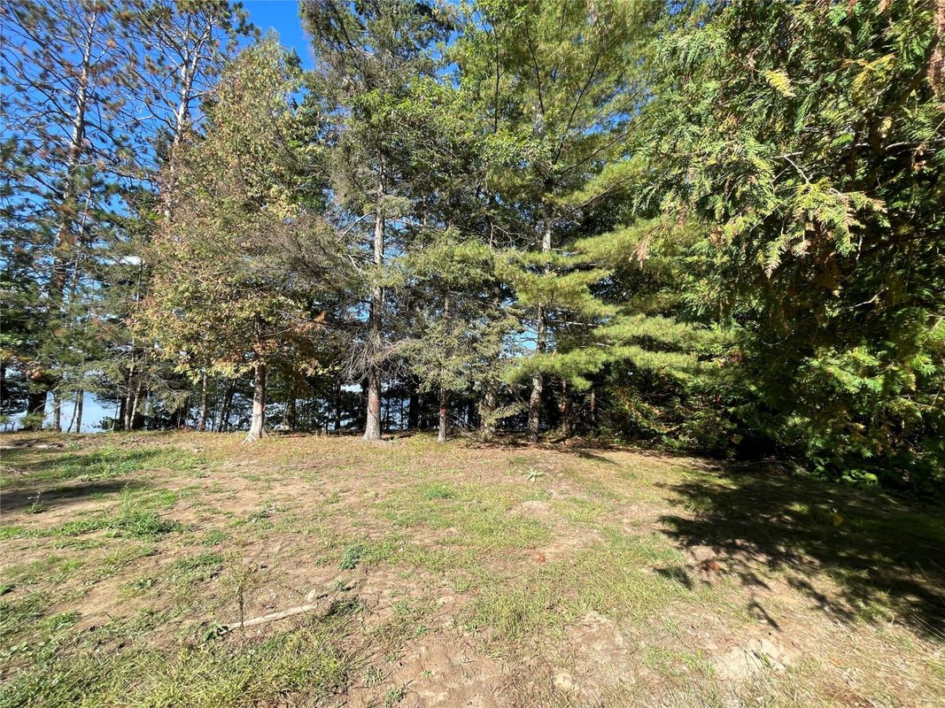 6073 Elsie Road, Stone Lake WI 54876 - Land house for sale - MLS #1602616 - image13