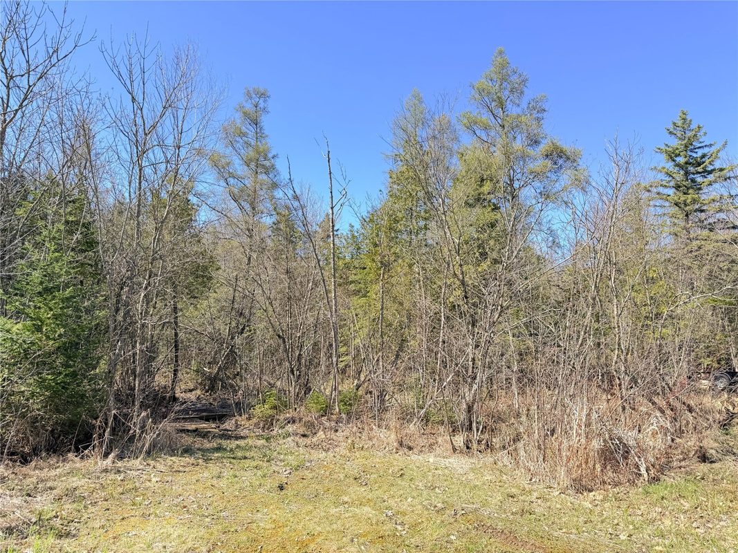 N1132 Cedar Point Lane, Weyerhaeuser WI 54895 - Residential house for sale - MLS #1600578 - image32