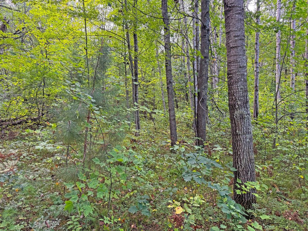 24771 Swede Road, Webster WI 54893 - Residential house for sale - MLS #1605095 - image6