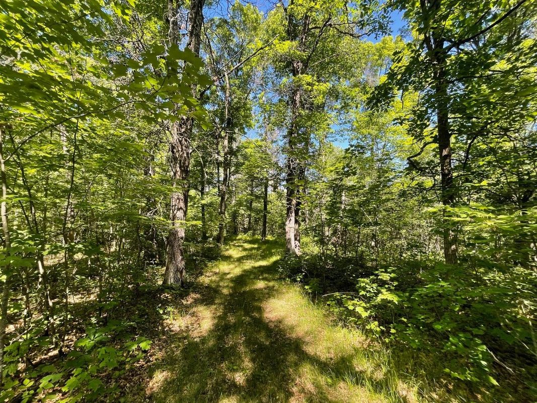 12997 Mail Road, Gordon WI 54838 - Residential house for sale - MLS #1602637 - image45