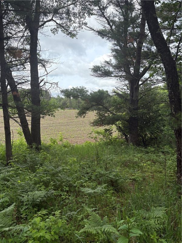 0 Walkers Road, Humbird, WI