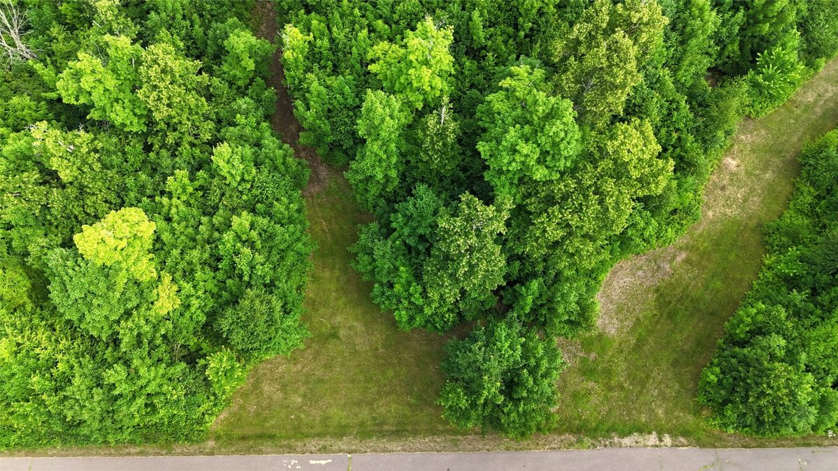 XXX Eckel Lane, Couderay WI 54835 - Land house for sale - MLS #1603143 - image25