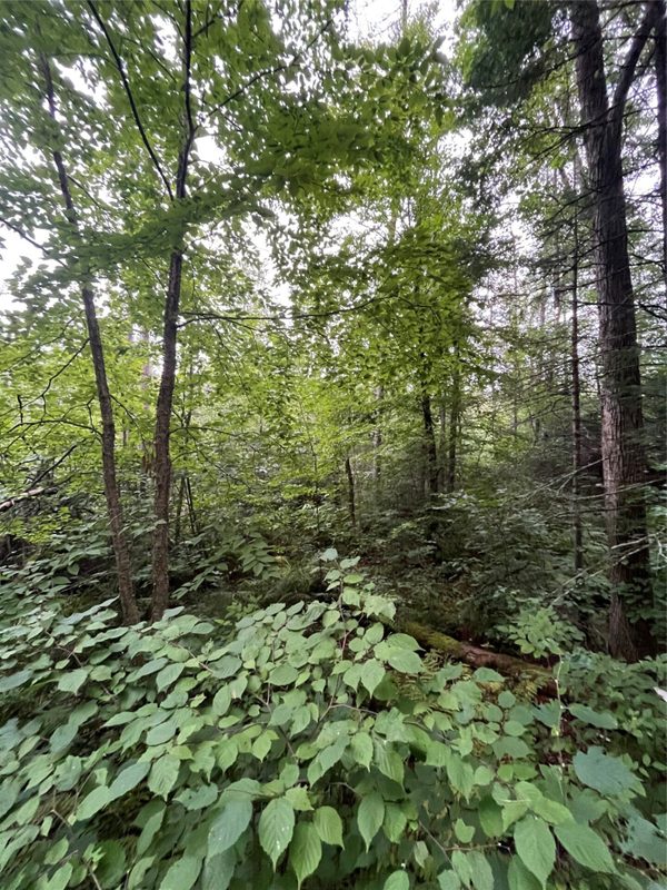 16876 Southview Trail, Stone Lake WI 54876 - Land house for sale - MLS #1599724 - image16