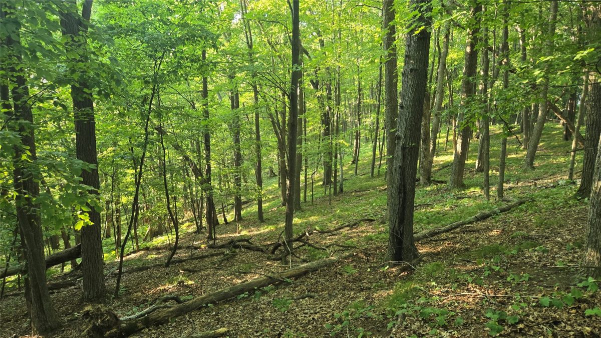 W02 State Highway 64, Colfax WI 54730 - Land house for sale - MLS #1604529 - image2