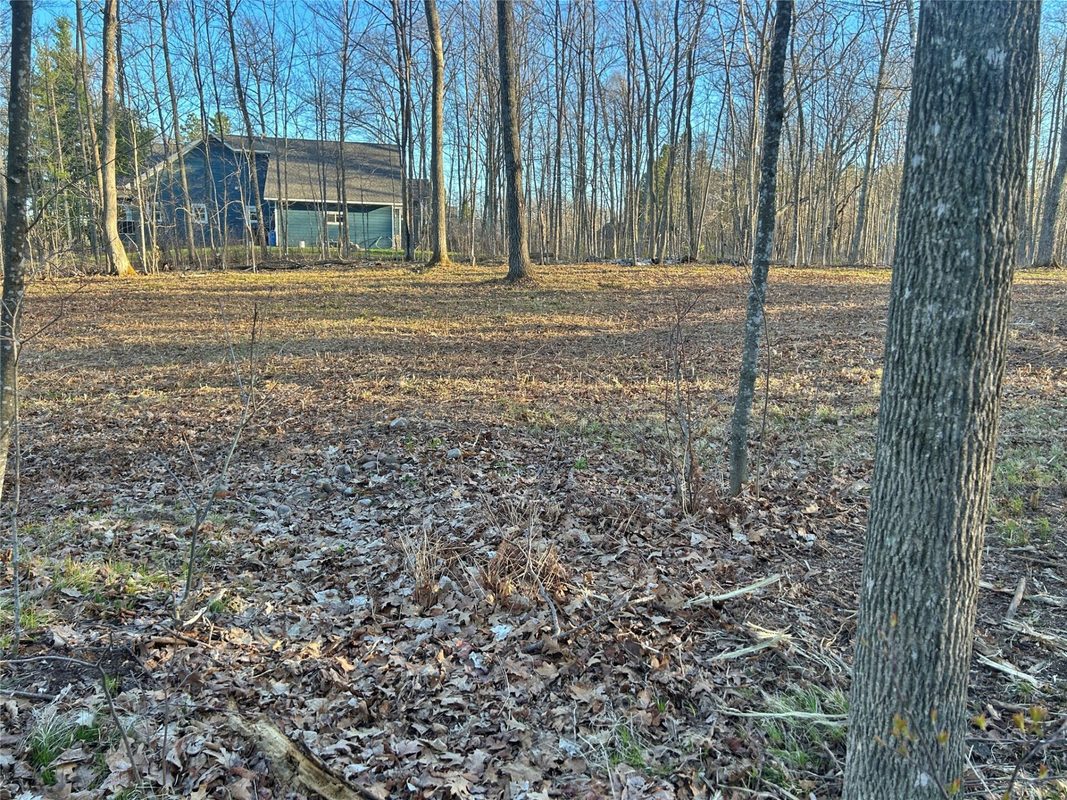 Land at 10358 White Bear Avenue, Hayward, WI 54843 — photo 9
