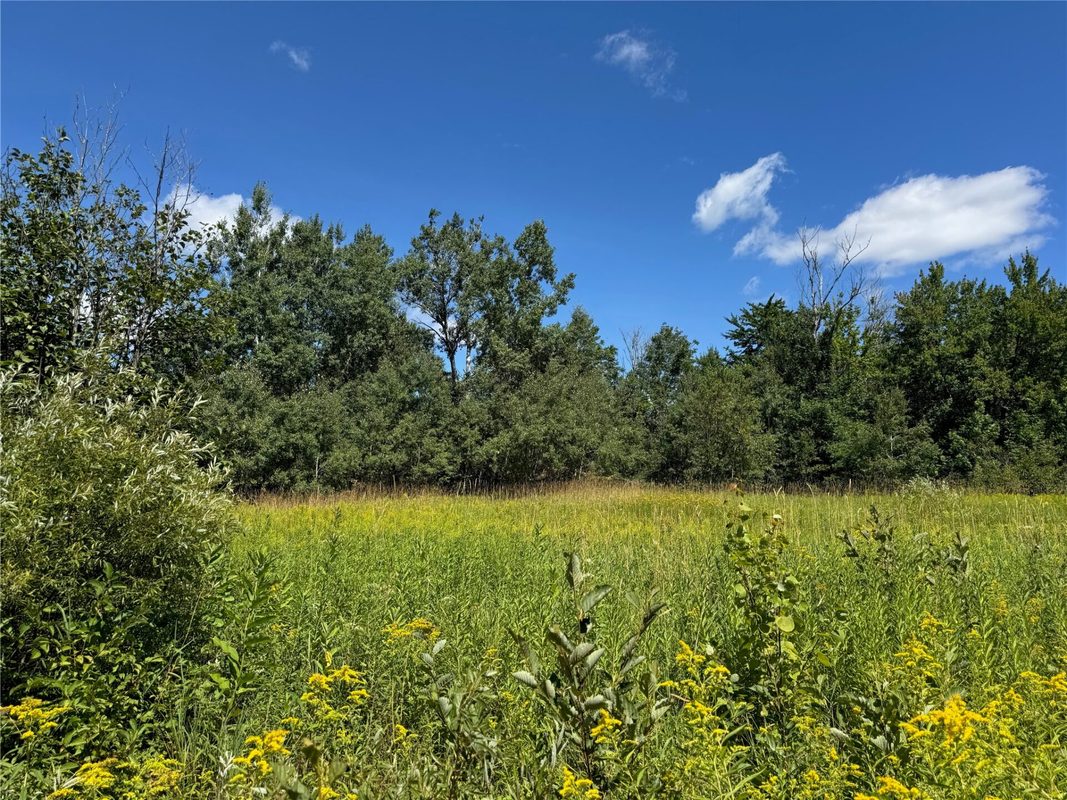 8143 Wright Road, Winter WI 54896 - Land house for sale - MLS #1594262 - image34