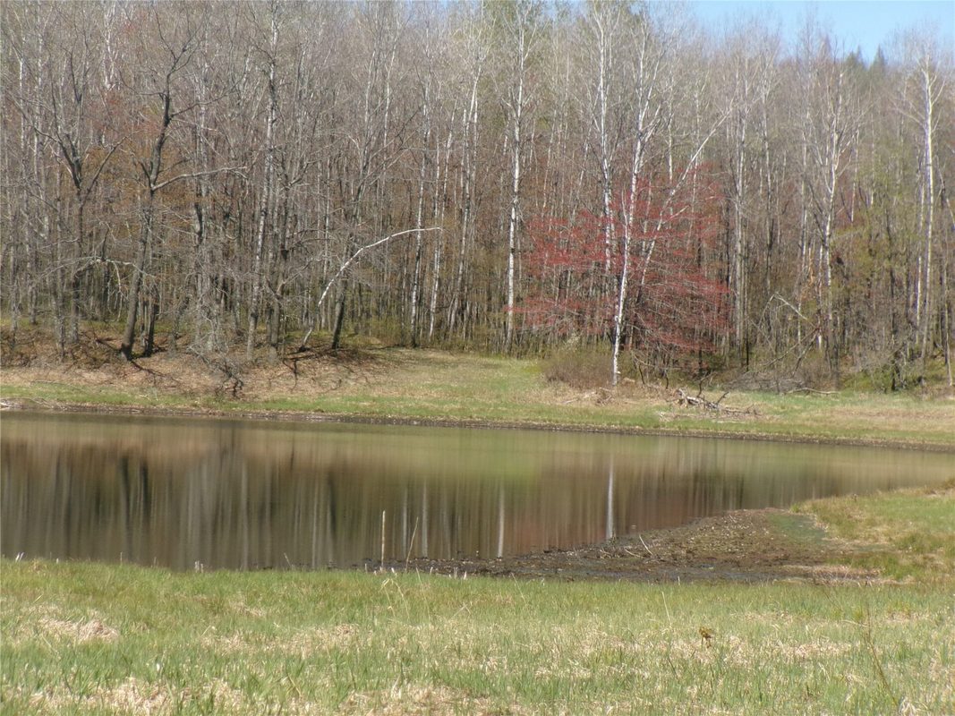 Tax ID 35410 Moody Lake Road, Sarona WI 54870 - Land house for sale - MLS #1601029 - image6