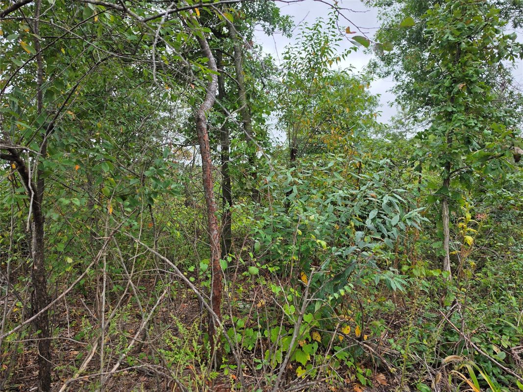 Lot 6 370th Ave Avenue, Elk Mound WI 54739 - Land house for sale - MLS #1605278 - image4