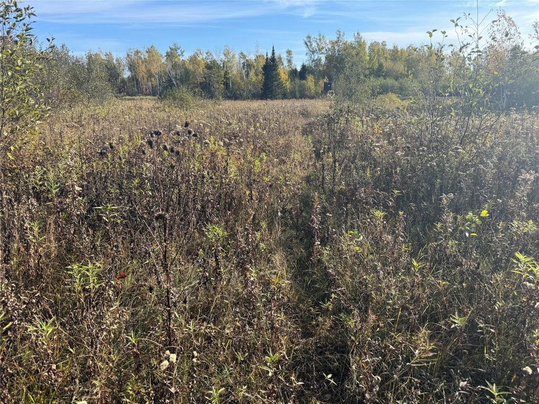 W11199 Edgewood Avenue, Bruce WI 54848 - Land house for sale - MLS #1605749 - image37