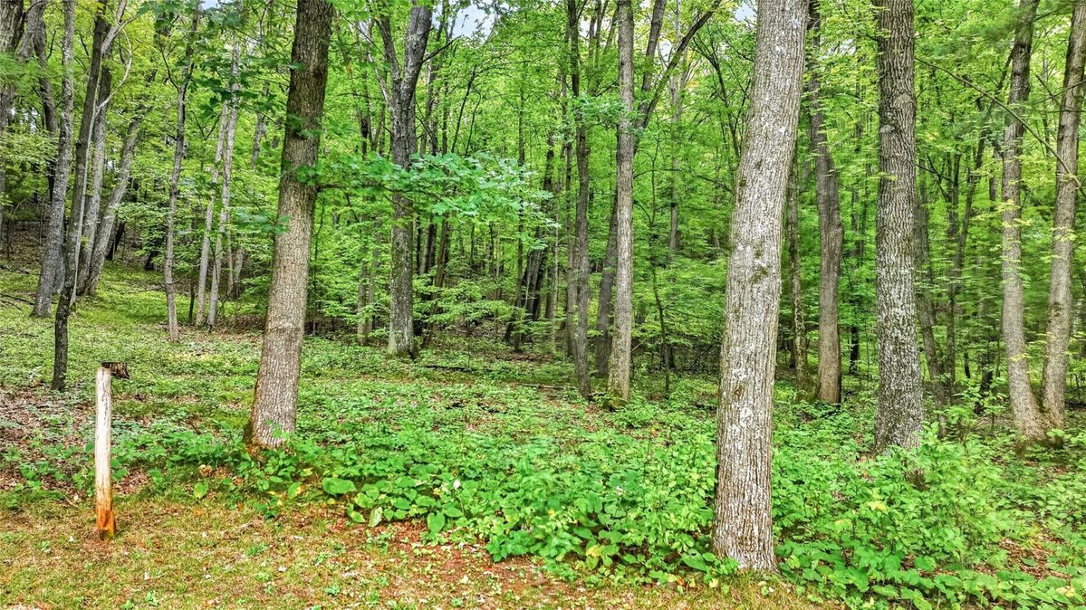 N9278 State Road 25, Colfax WI 54730 - Residential house for sale - MLS #1605396 - image10