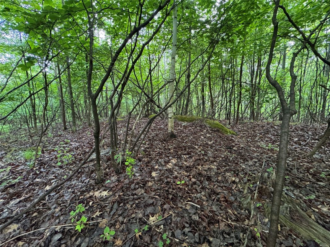 000 Boundary Road, Ringle WI 54471 - Land house for sale - MLS #1602183 - image8