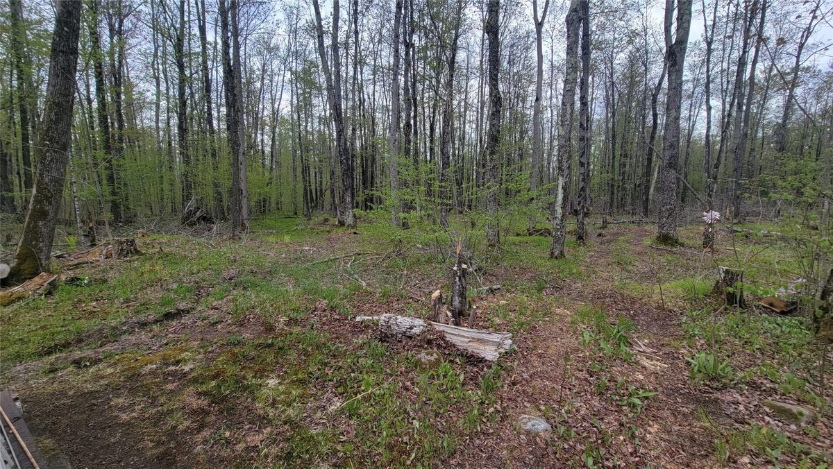 W10389 Fleming Road, Park Falls WI 54552 - Residential house for sale - MLS #1601372 - image19