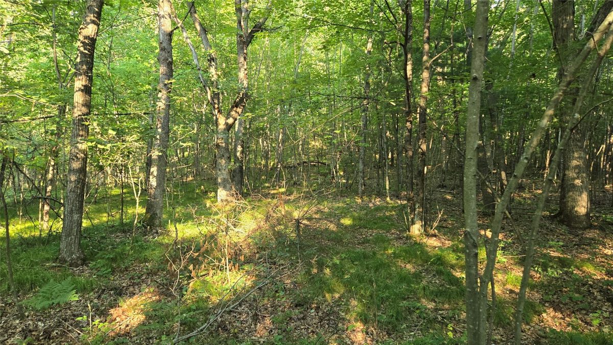 W02 State Highway 64, Colfax WI 54730 - Land house for sale - MLS #1604529 - image24