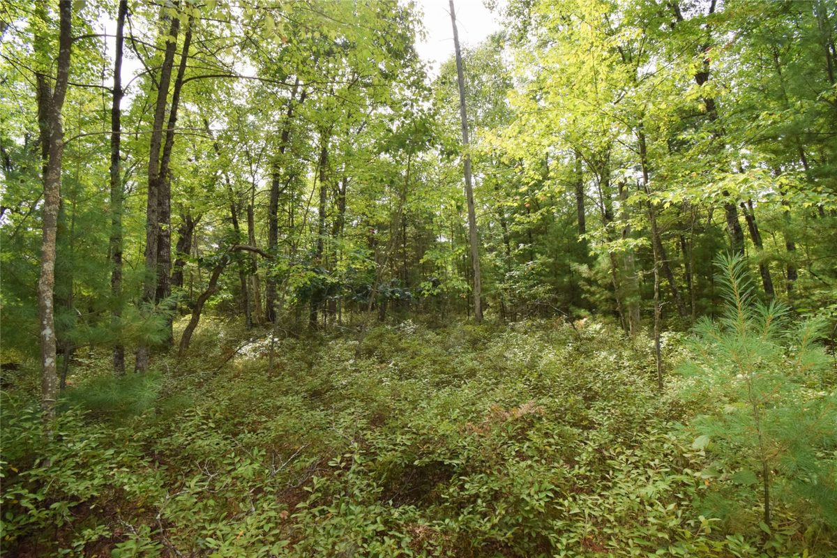 28206 Pardun Road, Danbury WI 54830 - Land house for sale - MLS #1604938 - image36
