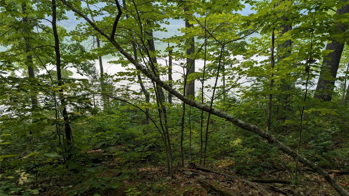 Lot 4 County Highway CC, Couderay WI 54828 - Land house for sale - MLS #1603366 - image4