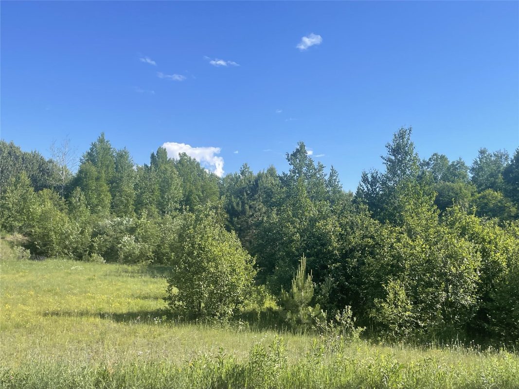 39+/- A on County Highway E, Iron Belt WI 54536 - Land house for sale - MLS #1602959 - image11