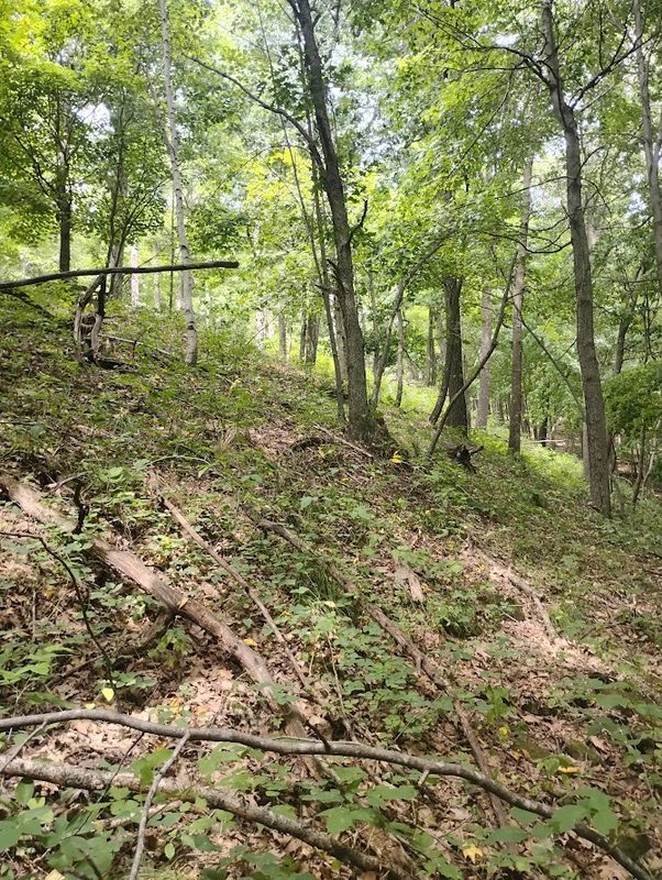 0 1130th Avenue, Colfax WI 54730 - Land house for sale - MLS #1604452 - image16
