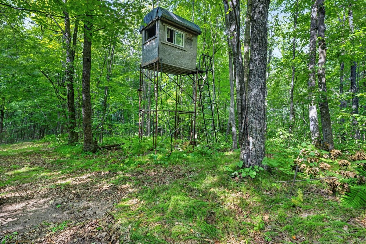 XXX County Hwy B, Shell Lake WI 54871 - Residential house for sale - MLS #1604550 - image19