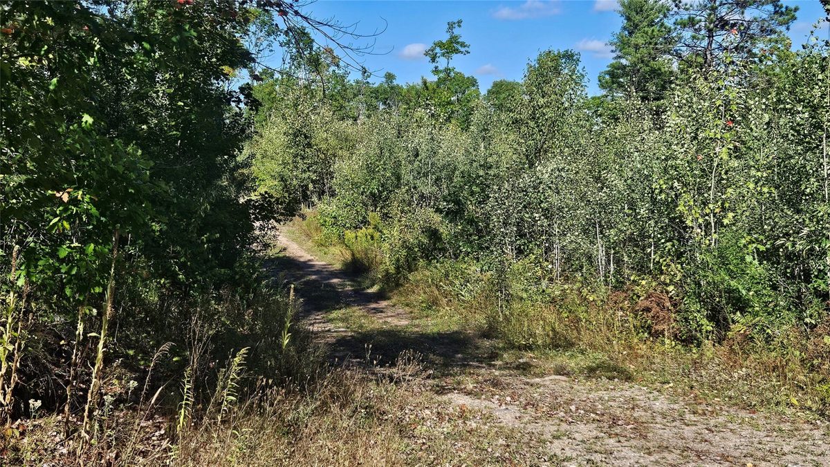 1-7 Larson Road, Hayward WI 54843 - Land house for sale - MLS #1605167 - image9