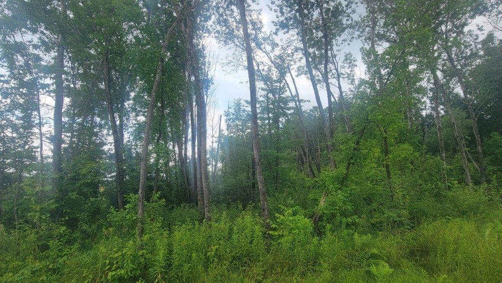 N4651 Pennington Road, Prentice, WI