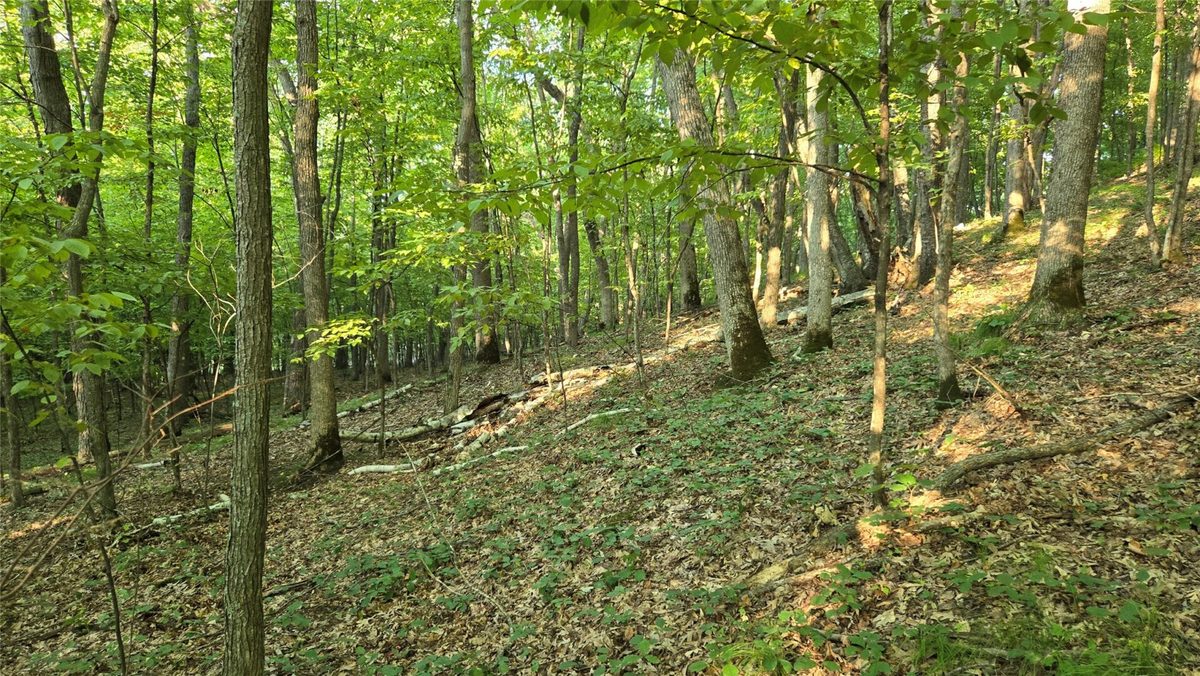 W02 State Highway 64, Colfax WI 54730 - Land house for sale - MLS #1604529 - image29