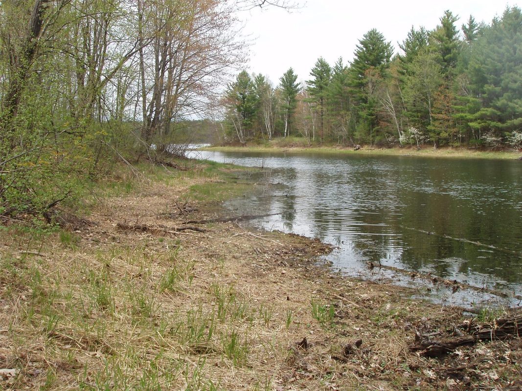 N16473 Patterson Lake Road, Park Falls WI 54552 - Land house for sale - MLS #1603551 - image12