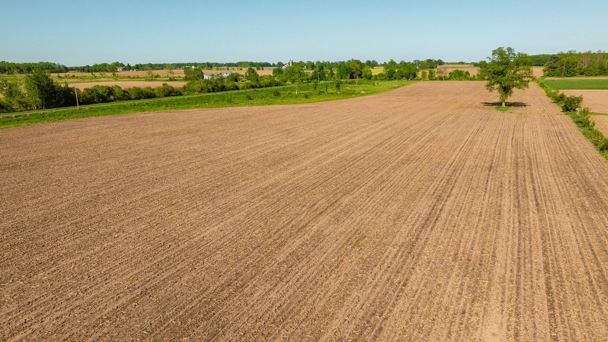0 Nyes Road, Stanley WI 54768 - Land house for sale - MLS #1601802 - image10