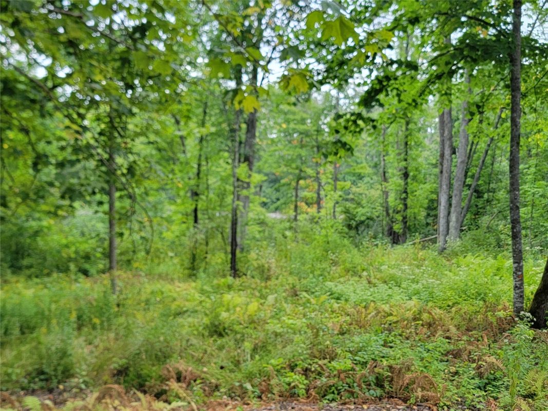 5522N County Highway G, Winter WI 54896 - Land house for sale - MLS #1605127 - image5