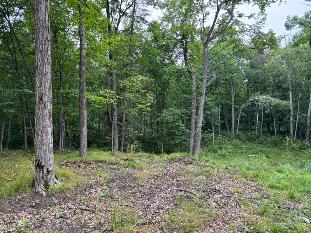 N8004 Cty Rd A, Spooner WI 54801 - Land house for sale - MLS #1604449 - image10