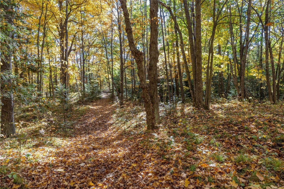 W5957 Happy Acres Road Tony WI 54563 - image35