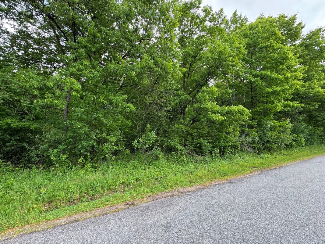 000 Boundary Road, Ringle WI 54471 - Land house for sale - MLS #1602183 - image5