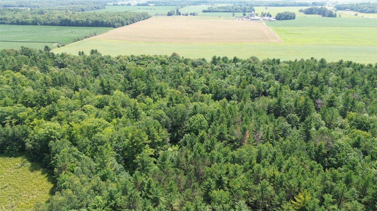 13743W State Highway 77, Hayward WI 54843 - Land house for sale - MLS #1603311 - image16