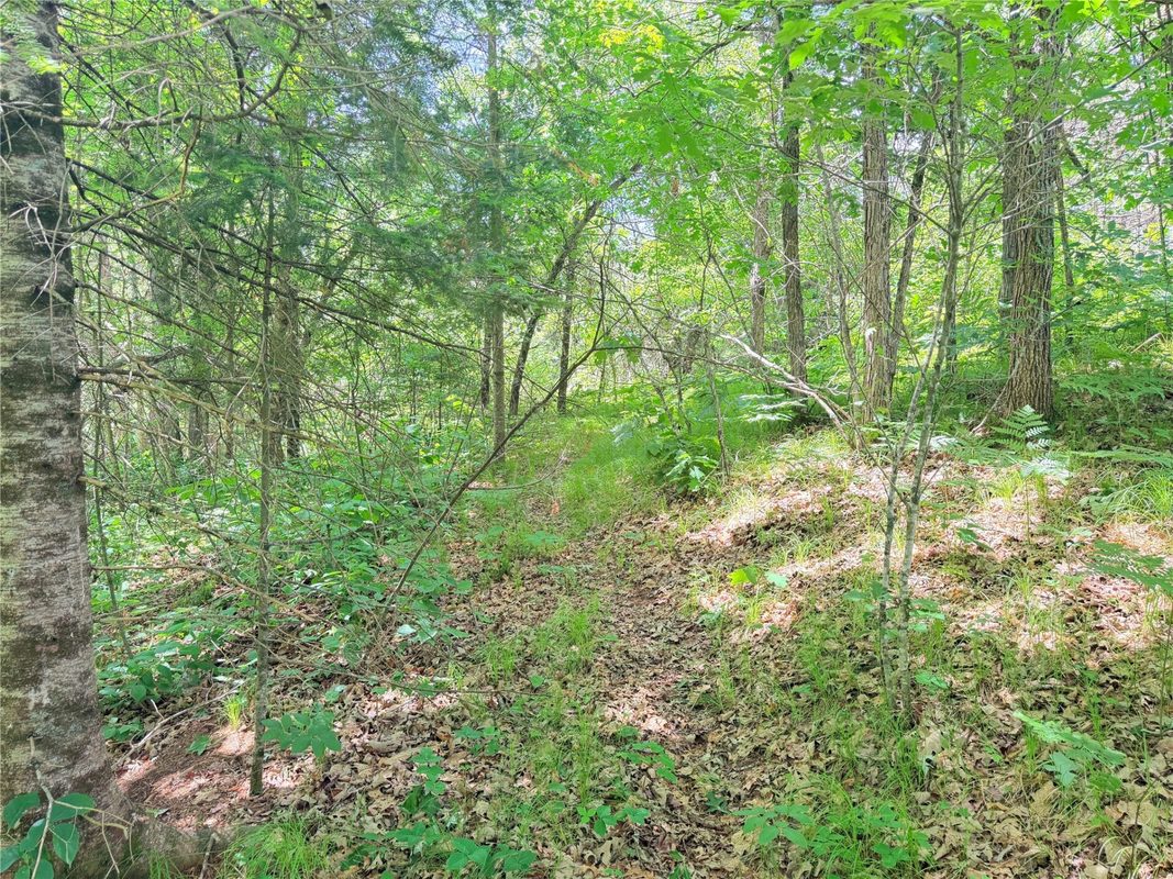 W11097 Boat Landing Road, Ladysmith WI 54848 - Land house for sale - MLS #1605411 - image11