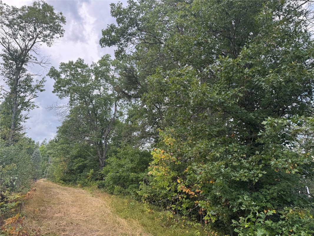 900 County Road A, Tomahawk WI 54487 - Land house for sale - MLS #1604619 - image33
