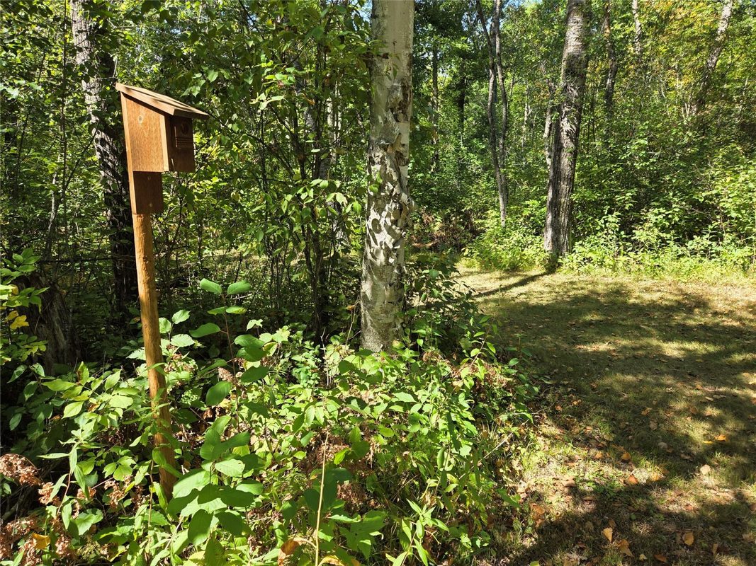 2809 28 11/16 Street, Birchwood WI 54817 - Land house for sale - MLS #1604772 - image42
