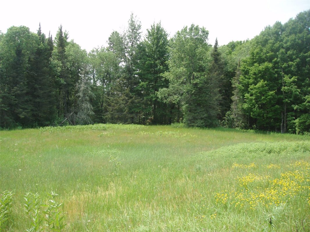 2460N County Highway FF, Butternut WI 54514 - Residential house for sale - MLS #1602950 - image22