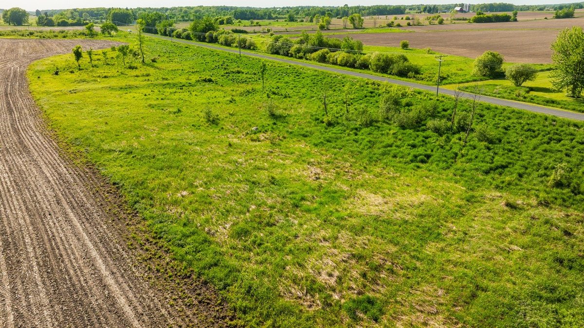 0 Nyes Road, Stanley WI 54768 - Land house for sale - MLS #1601802 - image14