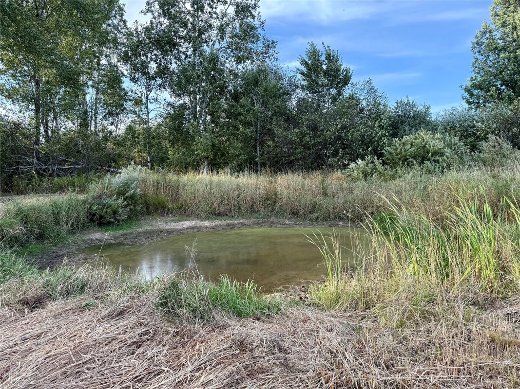 XX County Rd N, Kennan WI 54537 - Land house for sale - MLS #1605049 - image10